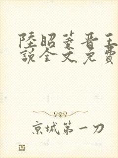 陆昭菱晋王的小说全文免费阅读