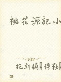 桃花源记小说封面