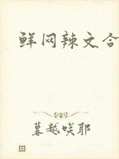 鲜网辣文合集封面
