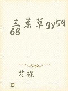 三叶草gy5968