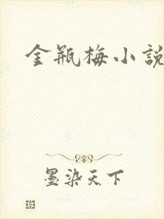 金瓶梅小说