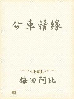 公车情缘