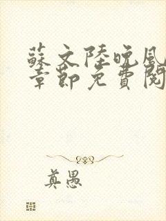 苏文陆晚风最新章节免费阅读笔趣阁