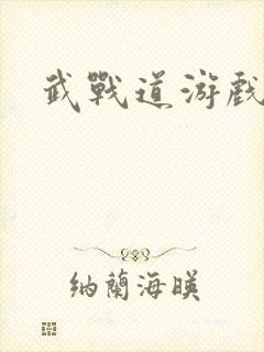 武战道游戏封面