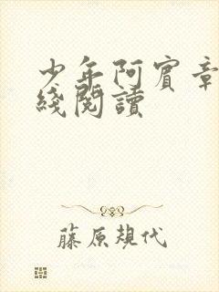 少年阿宾章节在线阅读