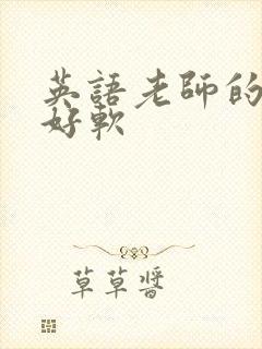 英语老师的兔子好软