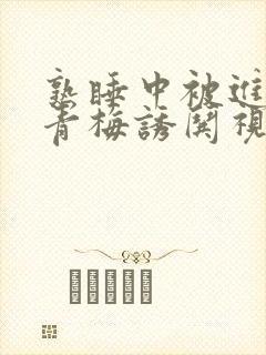 熟睡中被进了H青梅诱哄视频