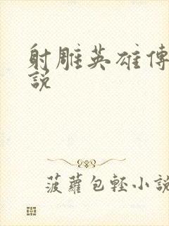 射雕英雄传 小说