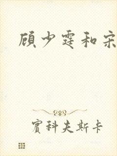 顾少霆和宋斯曼