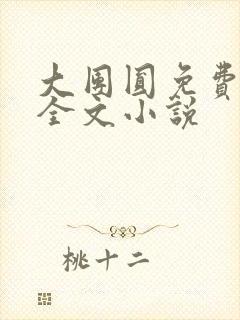 大团圆免费阅读全文小说