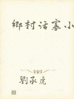 乡村活寡小说封面