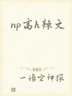 np高h辣文封面