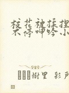 校花被揉捏两乳不停呻吟小说