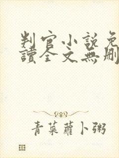 判官小说免费阅读全文无删减封面