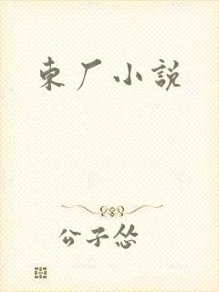 东厂小说