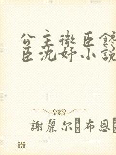 公主微臣馋了微臣沈妤小说