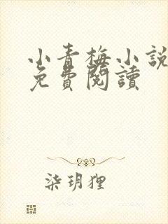 小青梅小说全文免费阅读