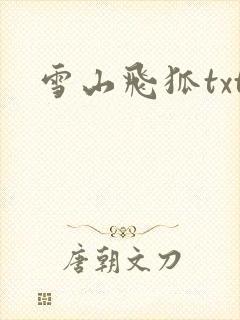 雪山飞狐txt封面