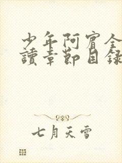 少年阿宾全文阅读章节目录封面