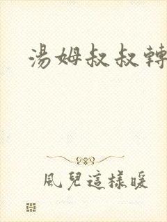 汤姆叔叔转接口