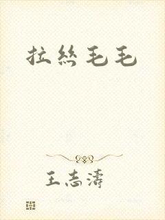 拉丝毛毛