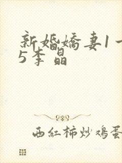 新婚娇妻1一25李晶