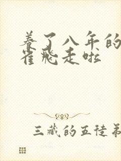 养了八年的金丝雀飞走啦