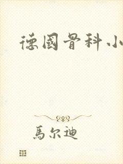 德国骨科小说封面