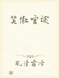 笑傲官途