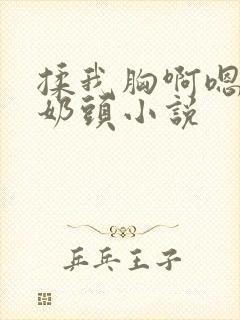 揉我胸啊嗯～吸奶头小说