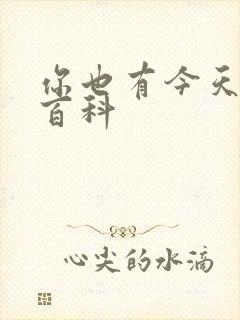 你也有今天百度百科