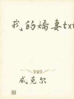 我的娇妻txt