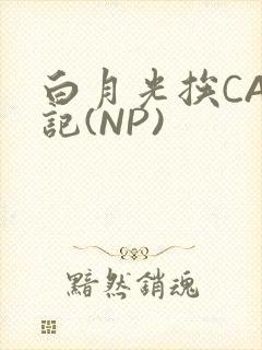 白月光挨CAO记(NP)封面