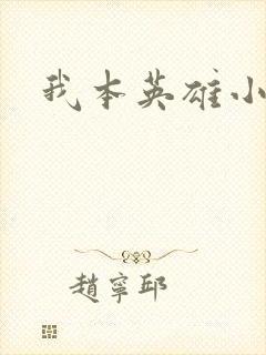 我本英雄小说封面