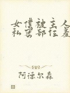 女仆被主人抽打私密部位羞辱小说封面