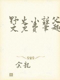 野火小说父女全文免费笔趣阁