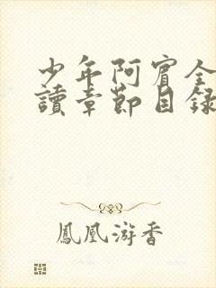 少年阿宾全文阅读章节目录