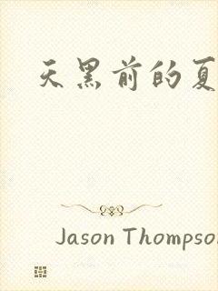 天黑前的夏天