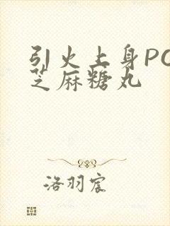 引火上身POP芝麻糖丸