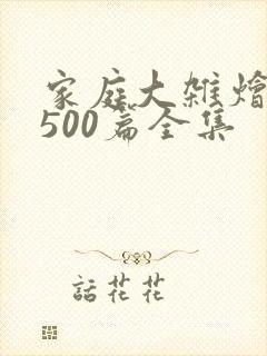 家庭大杂烩小说500篇全集