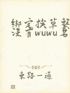 绑定挨草系统后没有wuwu名字