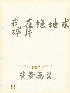 我在绝地求生捡碎片