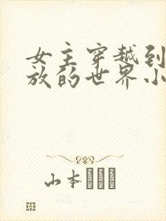 女主穿越到很开放的世界小说封面