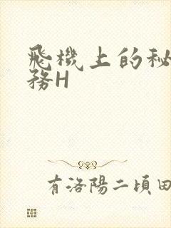 飞机上的秘密服务H