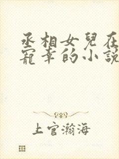 丞相女儿在书房宠幸的小说