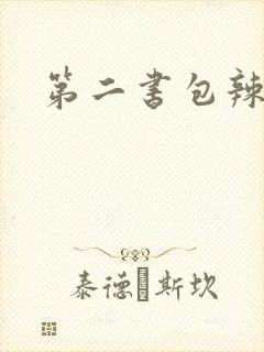 第二书包辣文