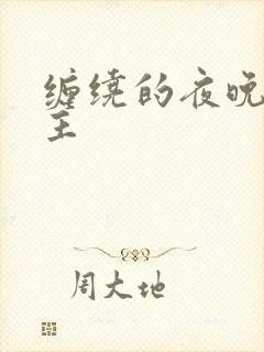 缠绕的夜晚双男主