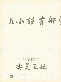 h小说有哪些封面