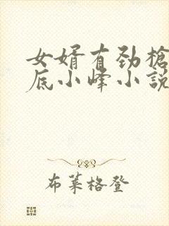 女婿有劲枪枪到底小峰小说