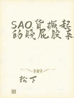 SAO货撅起你的贱屁股来